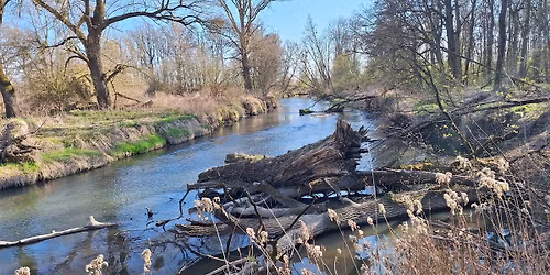 Spacer i sprz\u0105tanie lasu nad Bystrzyc\u0105