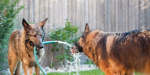 Hydration Station