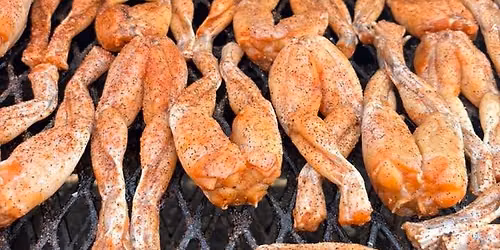 Smoked Alligator Celebration \ud83d\udc0a\ud83c\udf89