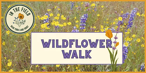 In the Field: Wildflower Walk