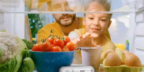 Ozoori Fridge Deodoriser Germany - Does It Live Up to the Hype?