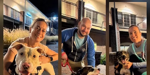 NHRC Going to the (Shelter) Dogs! Once Again