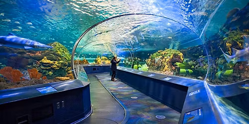 Ripley's Aquarium with Madison