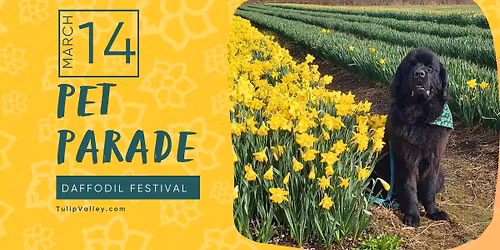 Pet Parade
