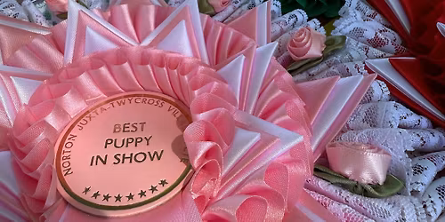 Summer Fete & Fun Dog Show