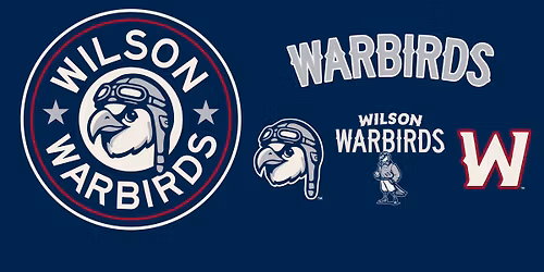 Warbirds: Salute to Heroes