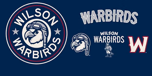 Warbirds: Salute to Heroes