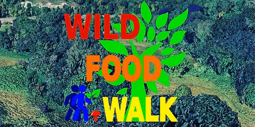 July Sea Mills (Bristol) Wild Food Foraging\/ Forager Walk.