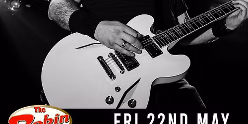 Foo Fighters GB - The Robin, Bilston