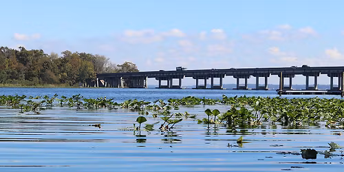 Wetlands Exploration at Camp Chowenwaw Park