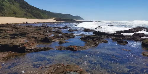 Treasure Beach Explorer