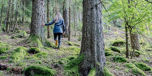 Mit der Natur in Verbindung \u2013 Waldp\u00e4dagogik als Ressource f\u00fcr engagierte Menschen im Sozialbereich