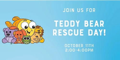 Teddy Bear Rescue Day!