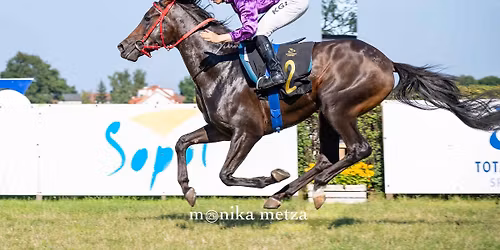 Wy\u015bcigi konne Sopot 2026