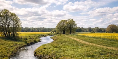 Minnenas caf\u00e9 bes\u00f6ker Lill\u00e5n