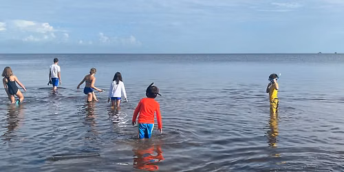 Coastal Explorers + Scalloping Mini-Camp At Robert K. Rees Memorial Park | Presented By POA