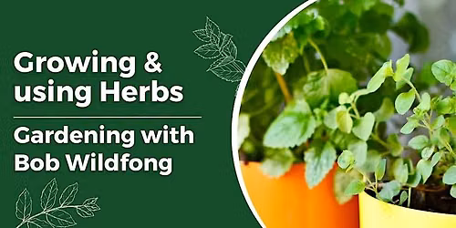 Growing and Using Herbs