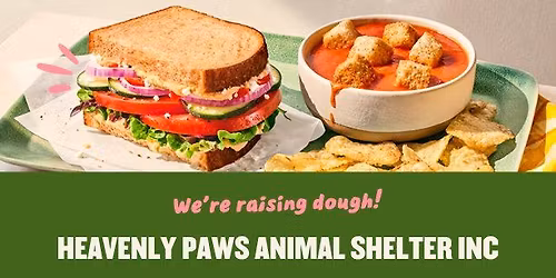 Heavenly Paws Panera Hanover Night