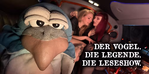 LUKAS die launische Liebesbierftaube