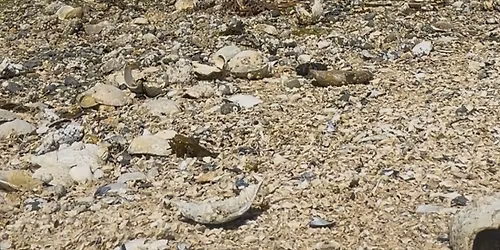 Dragonfly Outfitters Grand Opening