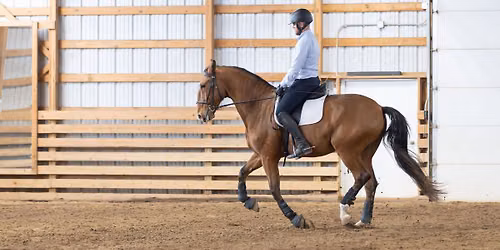 Classical Dressage Clinic | Steamboat Springs, CO