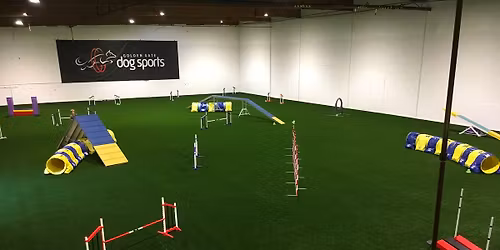 Treats, Love and Agility