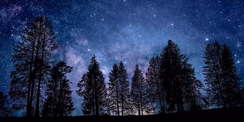 Rendez vous de l'\u00e9t\u00e9 \/ Une nuit dans la nature : Les chauves-souris