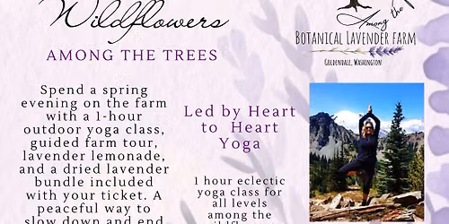 Yoga in Wildflowers, at Among the Trees Lavender Farm