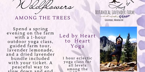 Yoga in Wildflowers, at Among the Trees Lavender Farm