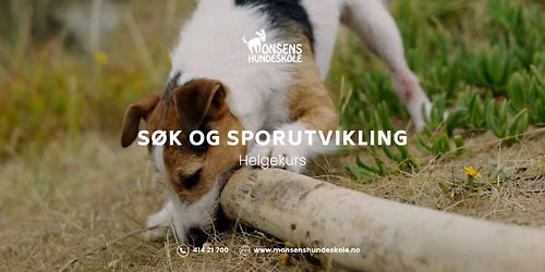 S\u00f8k og sporutvikling - FULLT