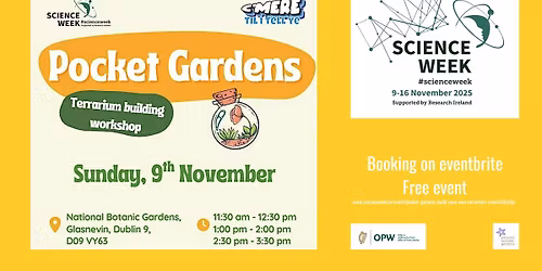 Pocket gardens - terrarium building workshop 