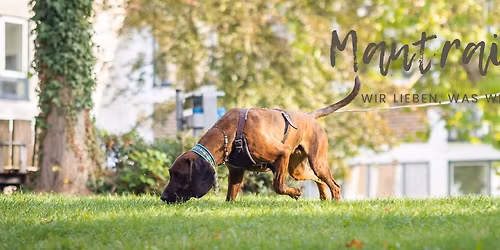 Mantrailing Wochenend-Workshop