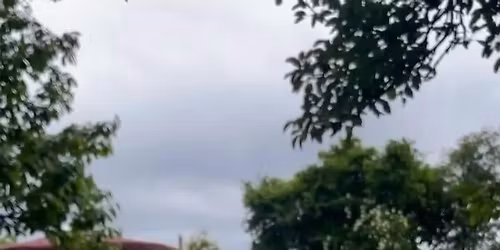 Je\u00fbne et chamanisme : un pas de c\u00f4t\u00e9 pour \u00e9claircir, all\u00e9ger, rayonner \ud83c\udf43\ud83d\udc41\ud83c\udf19\ud83e\udd5a\ud83d\udddd