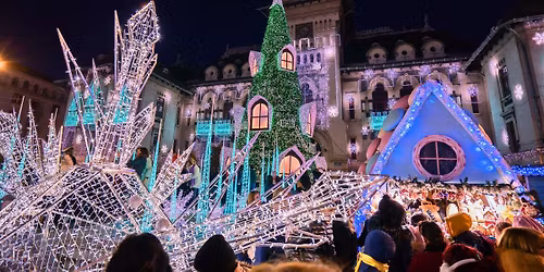 Crama Domeniile Coroanei Segarcea si Targul de Craciun Craiova #7
