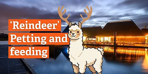 'Reindeer' Petting and Feeding