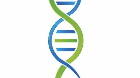 Bell County, Texas Genealogical Society