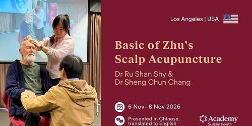 Basics of Zhu's Scalp Acupuncture | Los Angeles NOV 2026