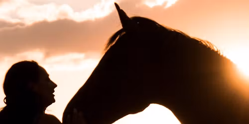 Heart & Hoof Harmony