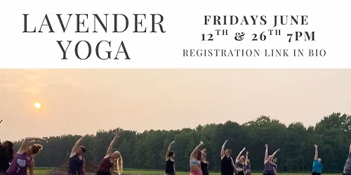 Lavender Yoga