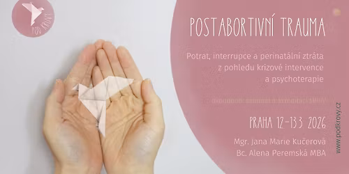 Postabortivn\u00ed trauma - interrupce a potraty z pohledu krizov\u00e9 intervence a psychoterapie
