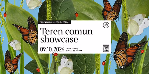 Teren comun Showcase