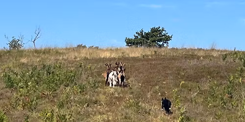 BBCC Praktijkparcours - kwalificatie BK Praktijk