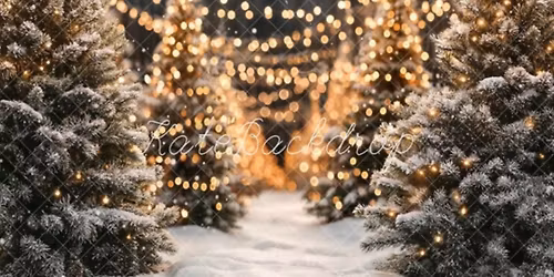 Christmas Mini Sessions