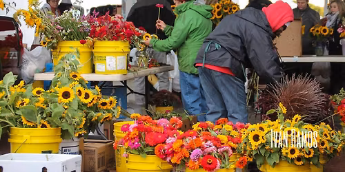 Flower City Days at the Market