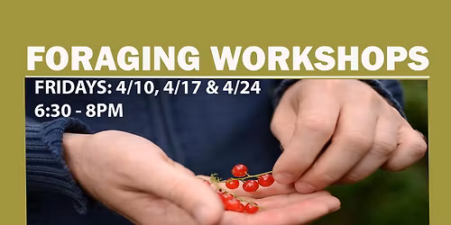 Foraging Workshops