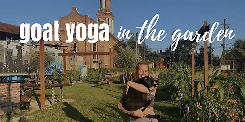 Baby Goat Yoga @ Paradigm Gardens