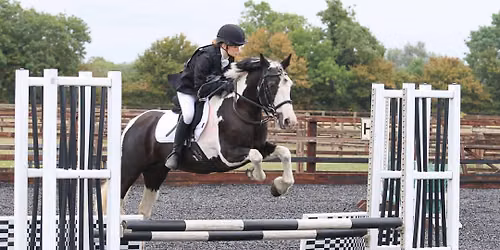 Clear Round Showjumping 30cm- 80cm