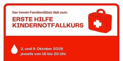 Erste Hilfe Kindernotfallkurs (8 Stunden)