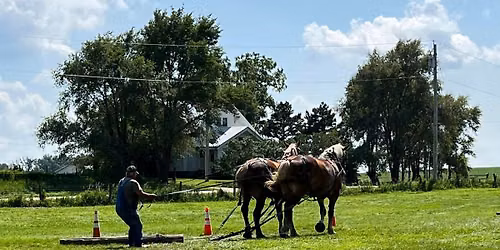 Cedar County Fair draft workhorse farm classes