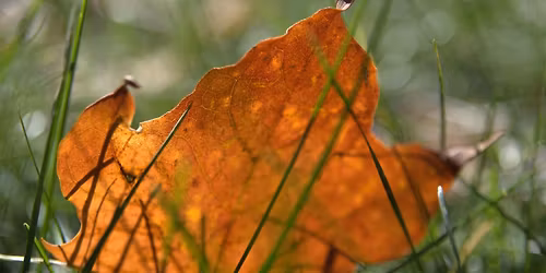Oakland Drive-Winchell Neighborhood Association Meeting